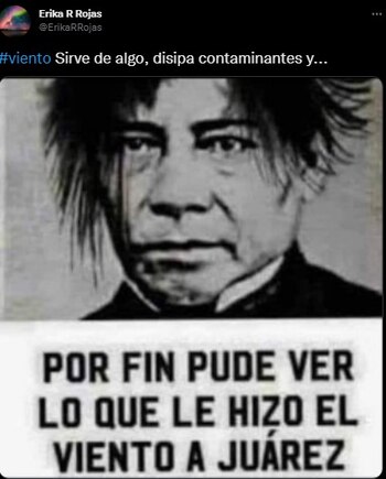 (Foto: Twitter/@ErikaRRojas)