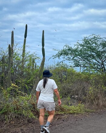 El paisaje de las Islas