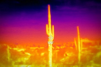 Phoenix registró 61 días con