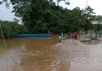Los cultivos de maíz, arroz, yuca y plátano sufrieron daños en varias comunidades de La Mosquitia por la crecida del río Patuca.