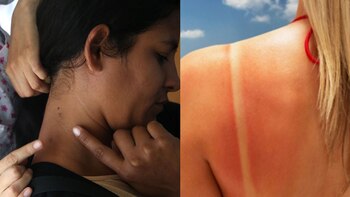 Se destaca la importancia de