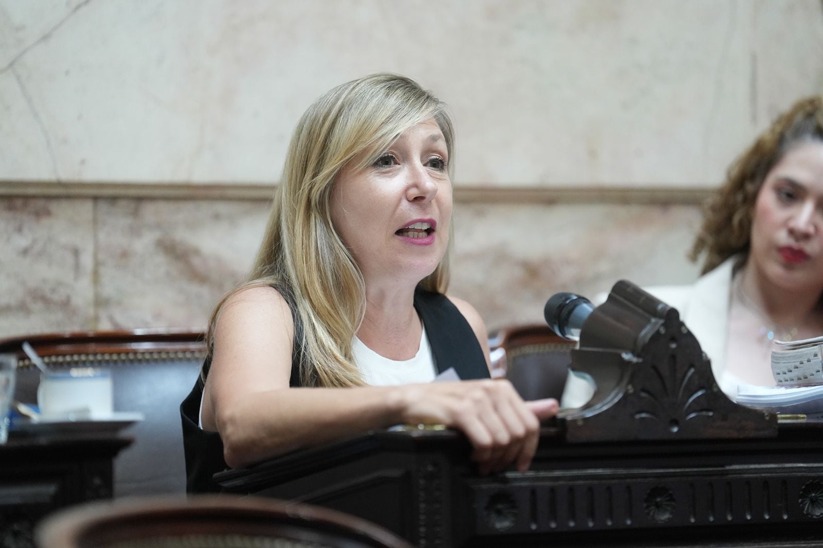 Myriam Bregman rechazó el acuerdo Mercosur-UE (Foto: NA)