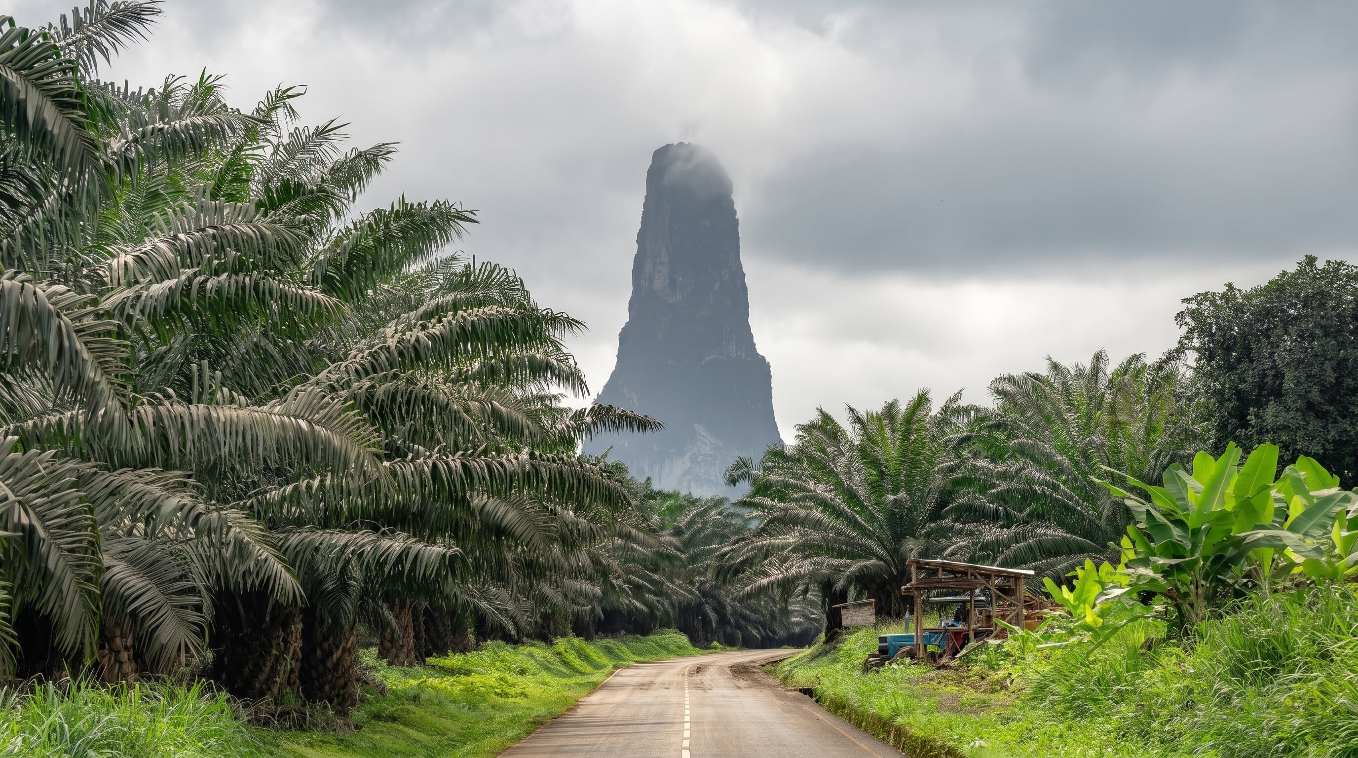 El acceso turístico al Pico Cão Grande suele llegar hasta la base y requiere guía local por la selva húmeda, los caminos no señalizados y los cambios de clima (Imagen Ilustrativa Infobae)