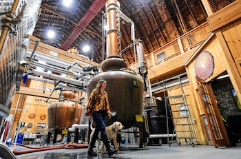 Meghan Ireland camina con su perro Murphy dentro de una destilería. Grandes alambiques de cobre y acero, tuberías y estructuras de madera llenan el espacio