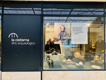 El museo está en Moreno