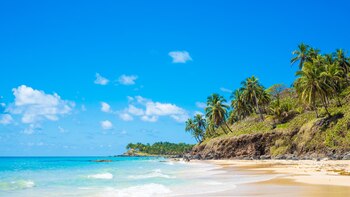 Corn Island por dentro, los