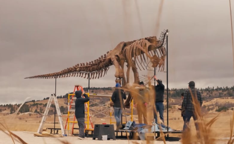 Gus fue descubierto en Harding County, Dakota del Sur, en tierras del ranchero Gary “Gus” Licking, que dio nombre al T. rex (YouTube:@sothebys)