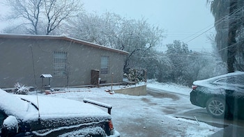 (Foto: @FedericoRsSz / Twitter)