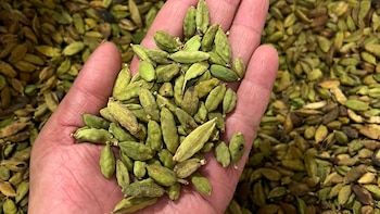 El Cardamomo hondureño supera los 16 millones de dólares en exportaciones y busca elevar su producción