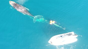 Diversas autoridades se coordinaron para