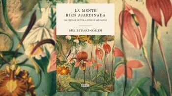 Tras más de 30 años