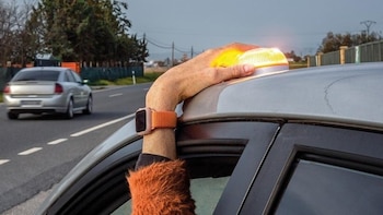Cuidado con las multas de la baliza V16 este verano: la DGT intensifica los controles y millones de conductores aún no cumplen la norma