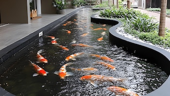 Carpas - Adobe Stock