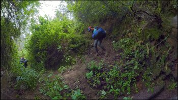 El camino de los inmigrantes