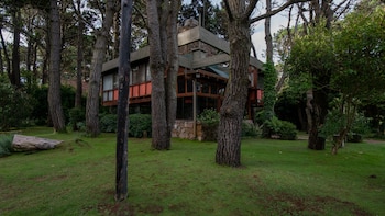 Confundida en el paisaje, así se pierde este bello "chalet" pinamarense, una de las joyas de la arquitectura local (Diego Medina)