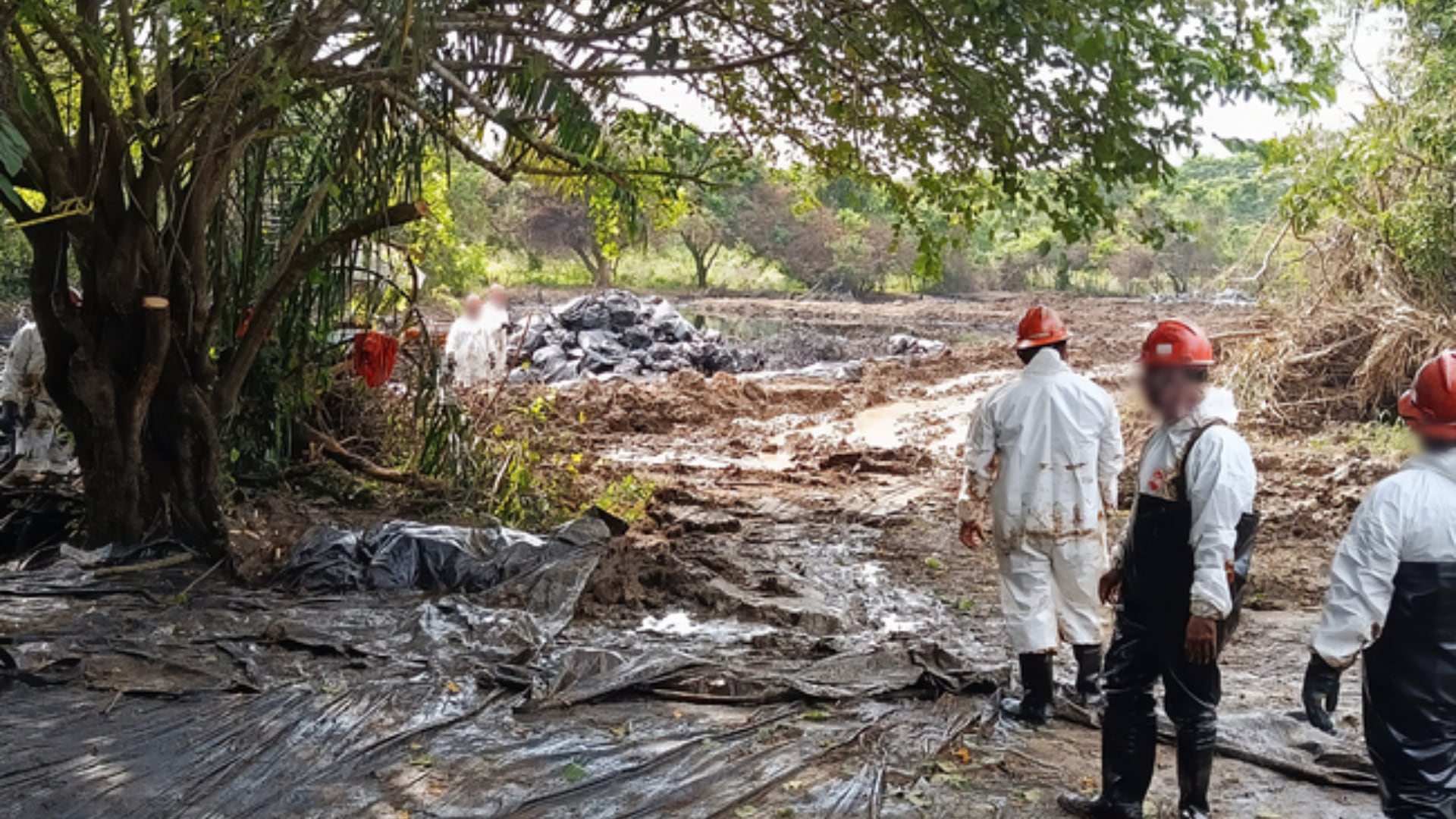 Nuevo derrame de hidrocarburo en Veracruz se originó en pozo en planta de sal, acusa Profepa, determina clausura temporal