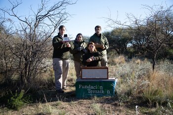 La fauna autóctona padece día