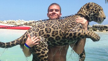 Cómo una isla paradisíaca del