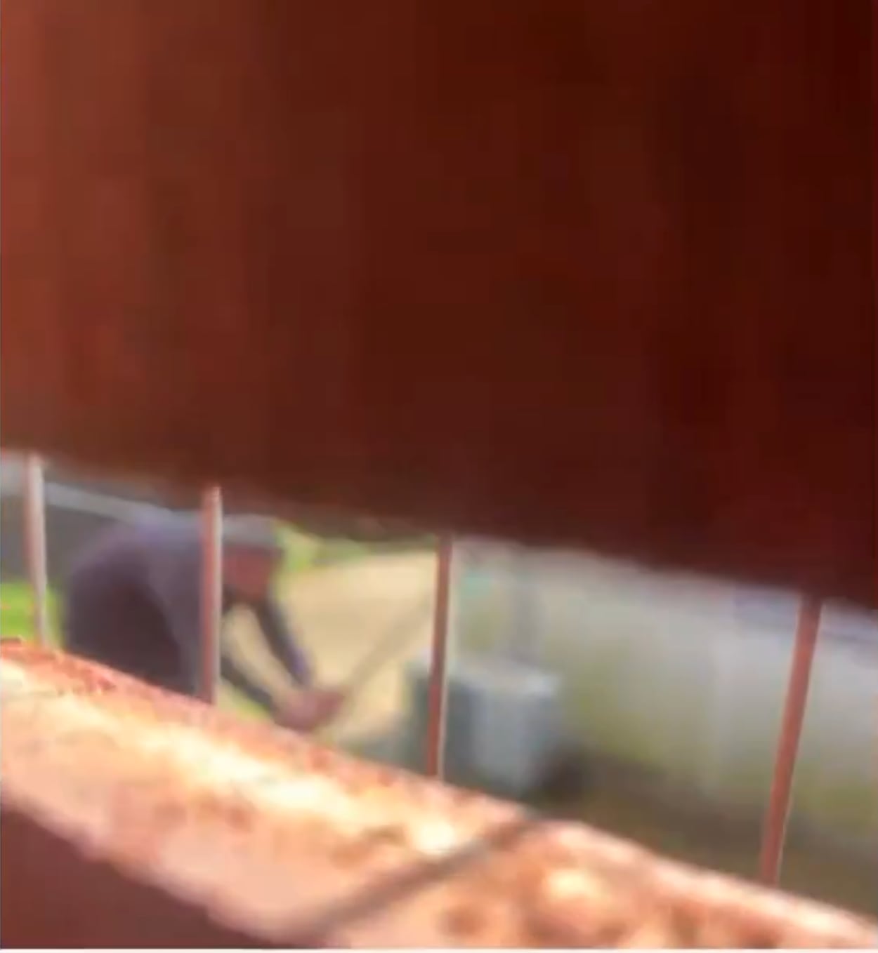 Hombre agrade a gato en Santa Lucía y termina imputado (Captura Telenoche/Canal 4)