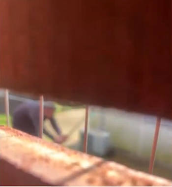 Hombre agrade a gato en Santa Lucía y termina imputado (Captura Telenoche/Canal 4)