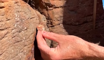 El trabajo para retirar 10.000 monedas que turistas dejaron entre las columnas de la Calzada del Gigante