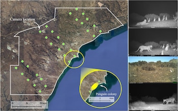 La restauración ambiental en Patagonia