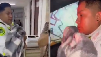 Policías de tránsito asisten parto en taxi de Iztapalapa: trasladan a madre e hijo al hospital