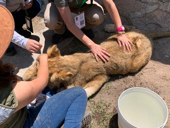 Imagen WDQ64GNVQ5AHVBYB4UWJQCU2Z4