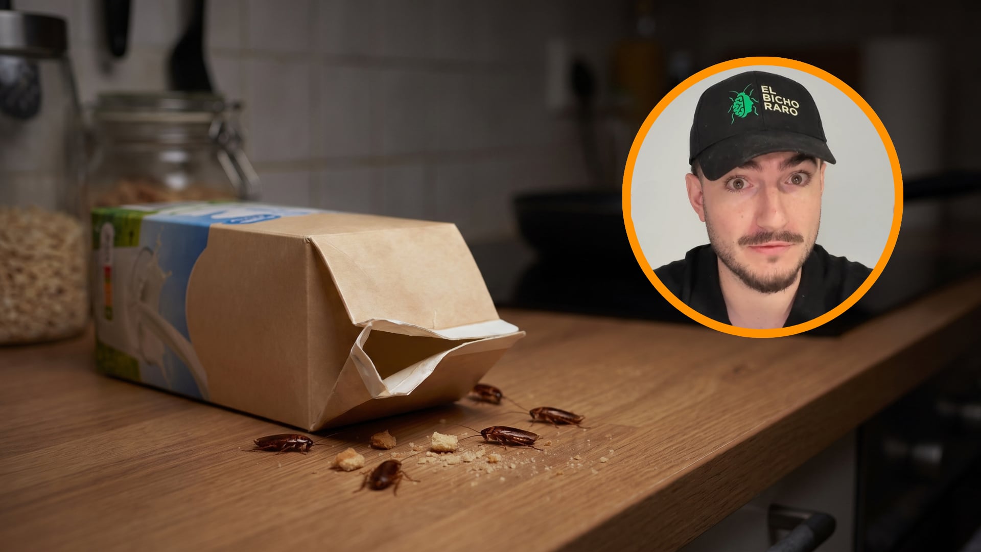 Un simple brik de leche puede detonar una plaga de cucarachas en casa
