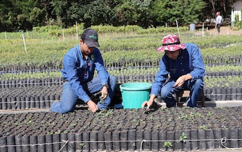 Fortalecen formación de estudiantes para