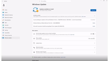 Actualizaciones de Windows