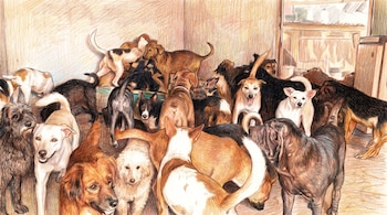 Dibujo a lápiz de color que muestra un gran grupo de perros de diversos tamaños y pelajes, con tonos marrones, negros y blancos.
