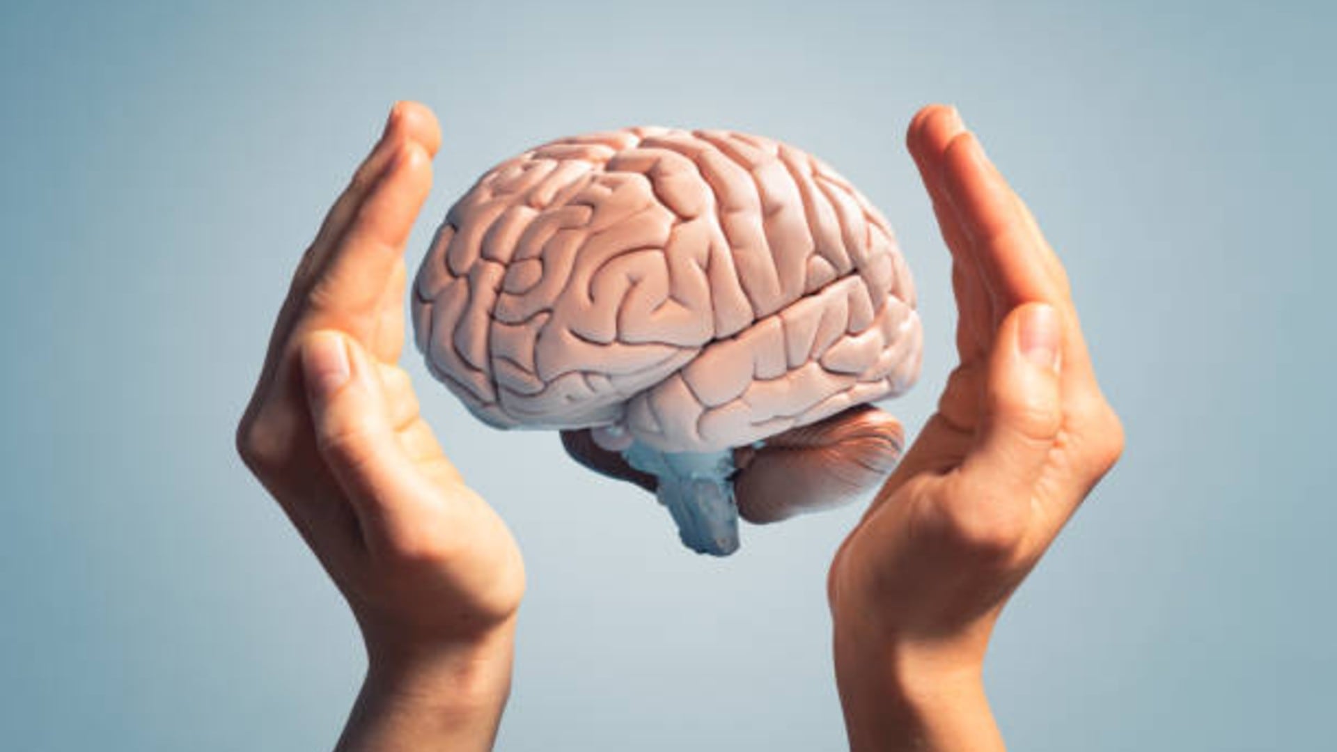 La jornada cuenta con registro previo y está dirigida a todo público interesado Foto: (iStock)