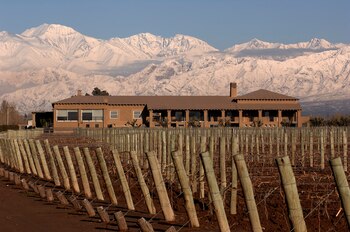 Los 50 mejores vinos de 2021