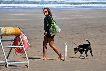 Los especialistas insisten en la