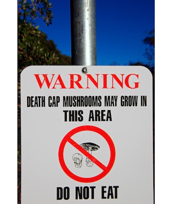 Recomiendan aprender sobre las especies