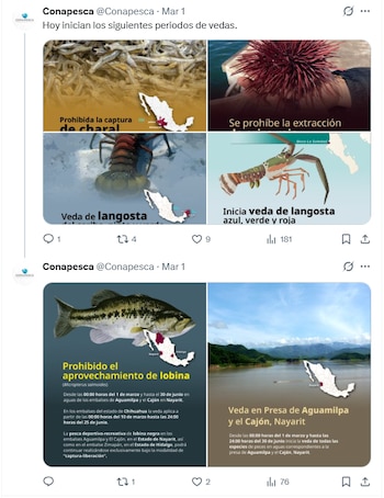 Entre las especies sujetas a