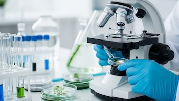 Detectan microalgas asociadas a toxinas peligrosas en aguas del oriente salvadoreño