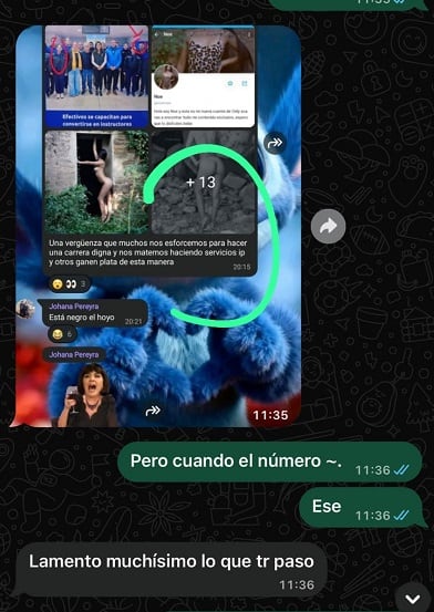 Ese fue uno de los mensajes que, supuestamente, viralizó Domínguez en el chat de efectivos policiales