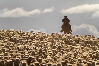 Areo en Santa Cruz. "La