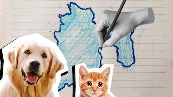 Gobierno del Estado de México busca promover el respeto hacia los animales con el concurso estatal de dibujo