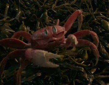 El nuevo diseño de el