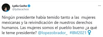 La crítica de Lydia Cacho