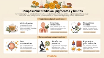 Infografía con textos e ilustraciones de flores de cempasúchil, una taza, órganos del cuerpo, un microscopio, huevos y frascos de laboratorio.