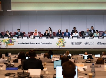 El Codex Alimentarius fue creado en 1963 por la Organización de las Naciones Unidas para la Alimentación y la Agricultura (FAO) y la Organización Mundial de la Salud (OMS). (Mici)