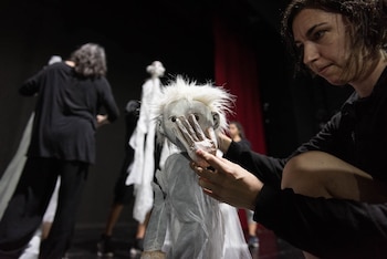 Todas las actividades del Festival