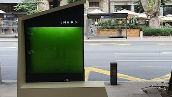 Cómo son los “árboles líquidos” urbanos que implementa Serbia para combatir la contaminación atmosférica