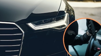 Revisa las marcas preferidas de