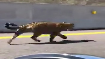 “Nos va a tragar”: automovilistas