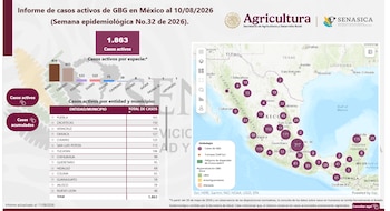 Avance del Gusano Barrenador en México.